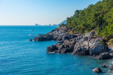 Kore 'nin Busan kentindeki Dongbaek parkının yırtık pırtık sahilleri.