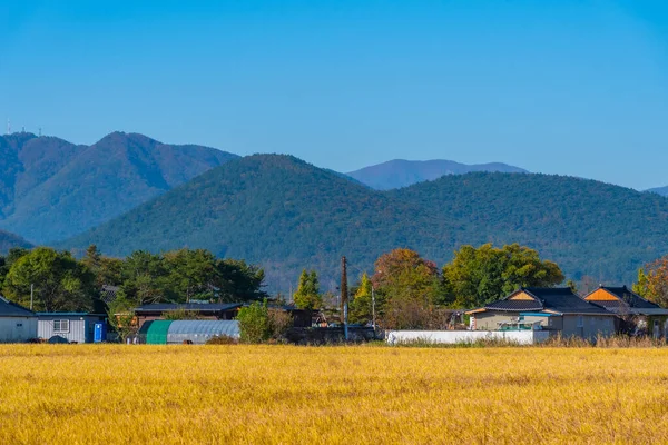 Rural Landscape Gyeongsangbukdo Province Republic Korea — Stock Photo, Image