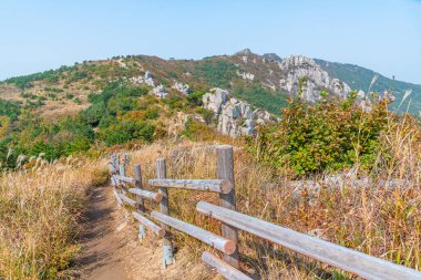 Geumjeong Kalesi 'nin kalıntıları Kore' nin Busan kentindeki Geumjeongsan dağına saçıldı.