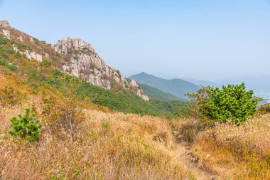 Geumjeong Kalesi 'nin kalıntıları Kore' nin Busan kentindeki Geumjeongsan dağına saçıldı.