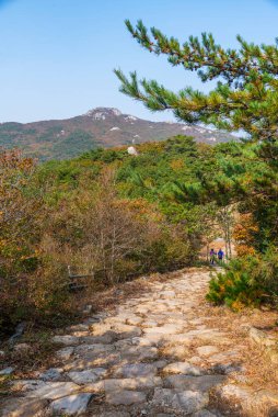 Geumjeong Kalesi 'nin kalıntıları Kore' nin Busan kentindeki Geumjeongsan dağına saçıldı.