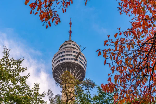 Torre Daegu República Coreia — Fotografia de Stock