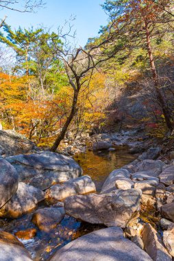 Kore Cumhuriyeti 'nin Seoraksan Milli Parkı' ndaki derede.