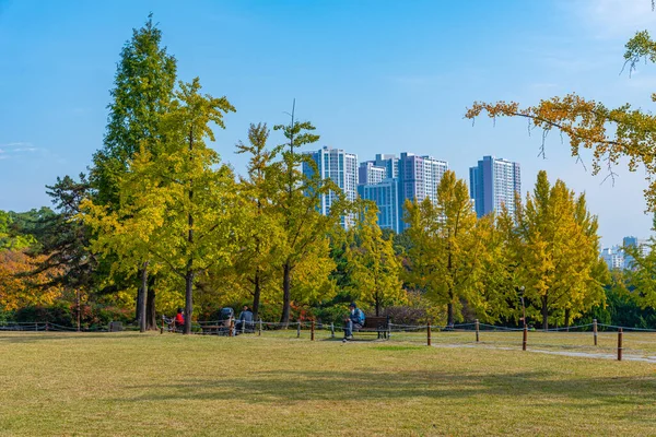 Parque Dalseong Daegu República Corea —  Fotos de Stock