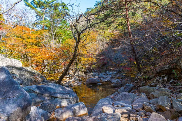 Creek Seoraksan National Park Republic Korea — Stock Photo, Image