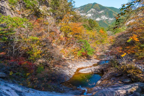 Creek Parque Nacional Seoraksan República Coreia — Fotografia de Stock