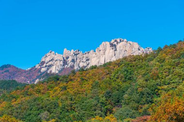 Seorak Dağı, Kore Cumhuriyeti 'ndeki Seoraksan Milli Parkı' nda.