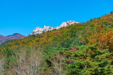 Seorak Dağı, Kore Cumhuriyeti 'ndeki Seoraksan Milli Parkı' nda.