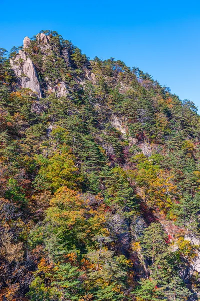 Letecký Pohled Národní Park Seoraksan Korejské Republice — Stock fotografie