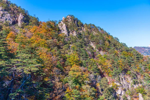 Vista Aérea Parque Nacional Seoraksan República Coreia — Fotografia de Stock