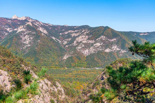 Luftaufnahme Des Seoraksan Nationalparks Südkorea — Stockfoto