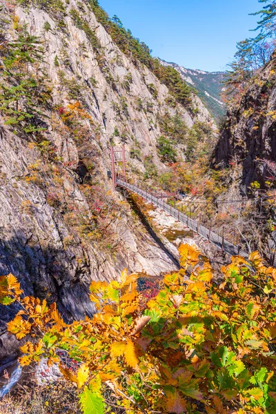 Puente Colgante Parque Nacional Seoraksan República Corea — Foto de Stock