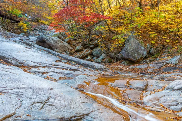 Creek Seoraksan National Park Republic Korea — Stock Photo, Image