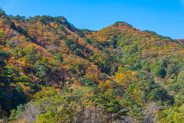 Vista Aérea Parque Nacional Seoraksan República Coreia — Fotografia de Stock