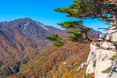 Kore Cumhuriyeti 'ndeki Seoraksan Ulusal Parkı' nın havadan görünüşü