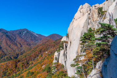 Kore Cumhuriyeti 'nin Seoraksan Ulusal Parkı' nda sonbahar boyunca renkli ağaçlar