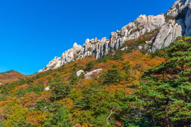 Kore Cumhuriyeti 'ndeki Seoraksan Milli Parkı' nda Ulsan Bawi zirvesi
