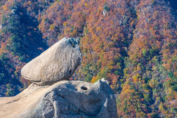 Árvores Coloridas Parque Nacional Seoraksan Durante Outono República Coreia — Fotografia de Stock