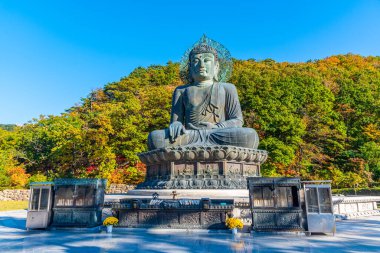 Kore Cumhuriyeti 'ndeki Seoraksan Ulusal Parkı' nda Buda heykeli.