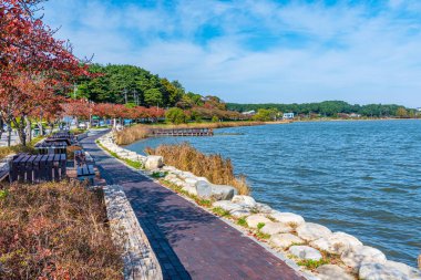 Gangneung, Kore Cumhuriyeti 'ndeki Gyeongpo Gölü' nün yanında Lakeside gezinti alanı.