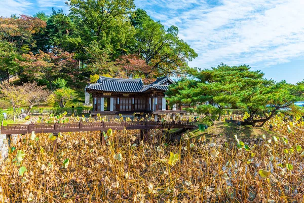 Dům Seongyojang Lotosovým Rybníkem Gangneungu Korejská Republika — Stock fotografie