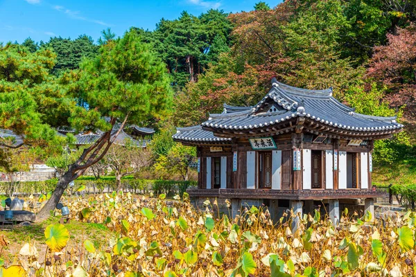 Seongyojang Casa Atrás Uma Lagoa Lótus Gangneung República Coreia — Fotografia de Stock
