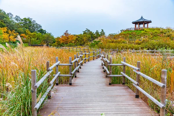 Parc Île Wolmido Incheon République Corée — Photo