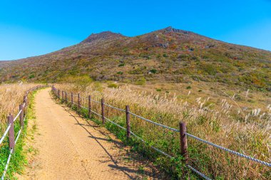 Kore Cumhuriyeti 'nin Gwangju yakınlarındaki Mudeungsan dağının zirvesine giden yürüyüş yolu.