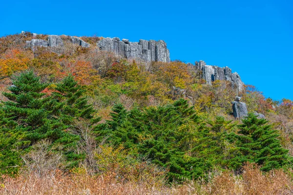 Falaise Jusangjeolli Montagne Mudeungsan Près Gwangju République Corée — Photo