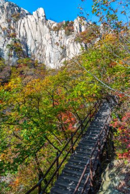 Kore, Seul yakınlarındaki Bukhansan Milli Parkı 'nda dik merdivenler.