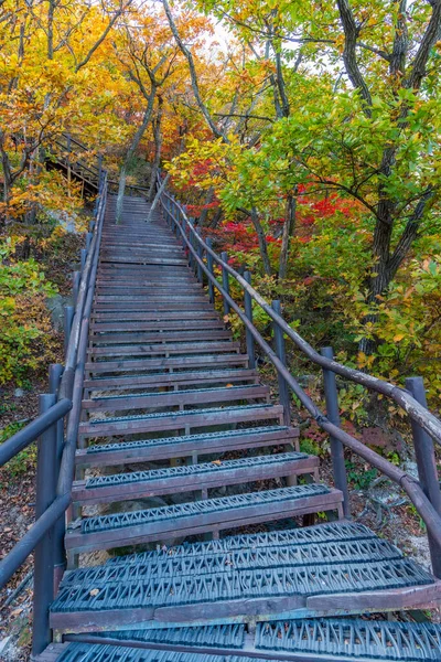 Steep Σκάλα Στο Εθνικό Πάρκο Bukhansan Κοντά Στη Σεούλ Δημοκρατία — Φωτογραφία Αρχείου