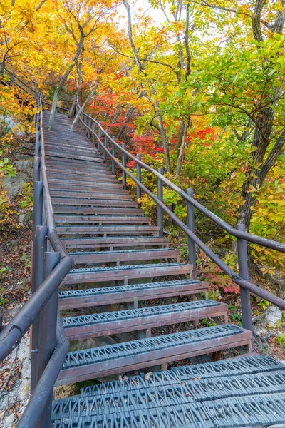 Escalier Raide Parc National Bukhansan Près Séoul République Corée — Photo