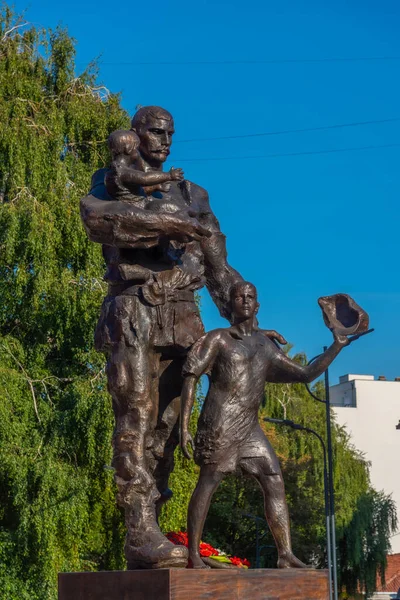 Standbeeld Het Centrum Van Peja Kosovo — Stockfoto