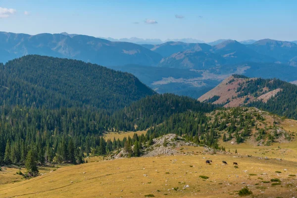 Montañas Rugova Parque Nacional Prokletije Kosovo — Foto de Stock