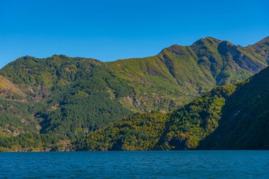 Arnavutluk 'taki Koman Gölü' nün güzel manzarası