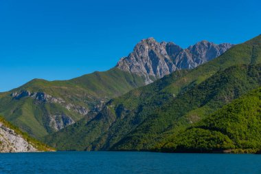 Arnavutluk 'taki Koman Gölü' nün güzel manzarası