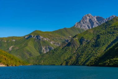 Arnavutluk 'taki Koman Gölü' nün güzel manzarası