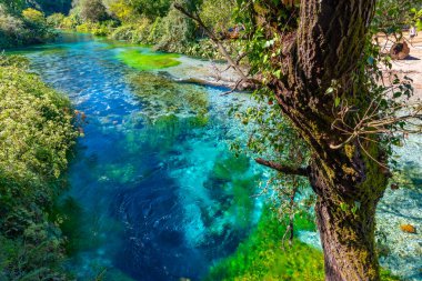 Arnavutluk 'un Sarande kenti yakınlarında mavi göz pınarı