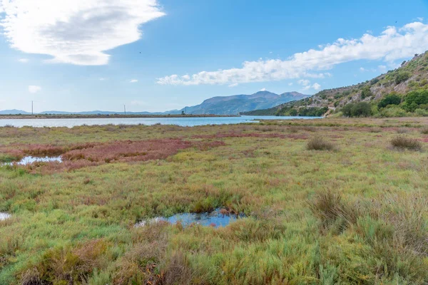 Parque Nacional Paisaje Butrint Albania —  Fotos de Stock