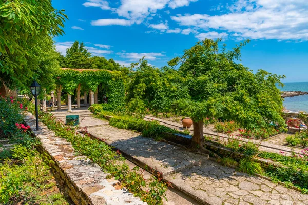 Grădină Trandafiri Grădina Botanică Palatului Balcic Din Bulgaria — Fotografie, imagine de stoc