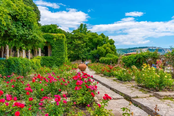 Jardín Rosas Jardín Botánico Del Palacio Balchik Bulgaria — Foto de Stock