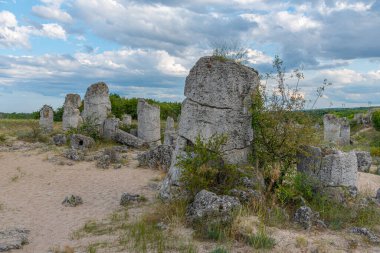 Bulgaristan 'ın Varna kenti yakınlarındaki Taş Ormanı