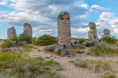 Bulgaristan 'ın Varna kenti yakınlarındaki Taş Ormanı