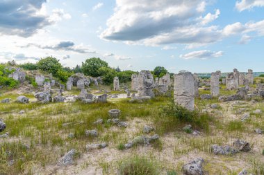 Bulgaristan 'ın Varna kenti yakınlarındaki Taş Ormanı