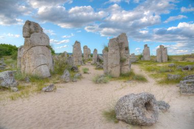 Bulgaristan 'ın Varna kenti yakınlarındaki Taş Ormanı