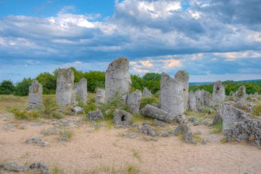 Bulgaristan 'ın Varna kenti yakınlarındaki Taş Ormanı