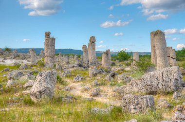 Bulgaristan 'ın Varna kenti yakınlarındaki Taş Ormanı