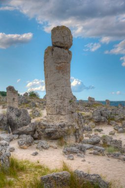 Bulgaristan 'ın Varna kenti yakınlarındaki Taş Ormanı