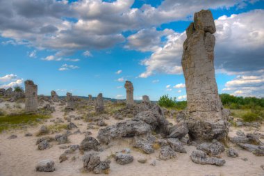 Bulgaristan 'ın Varna kenti yakınlarındaki Taş Ormanı