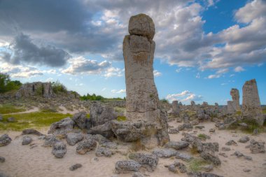 Bulgaristan 'ın Varna kenti yakınlarındaki Taş Ormanı